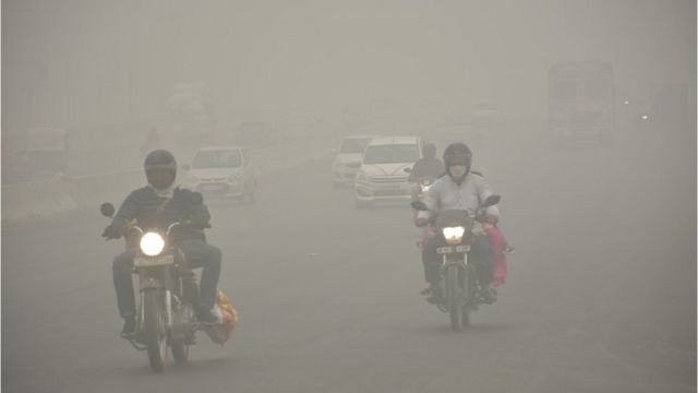 🎯【耶魯大學：空汙損害智力】