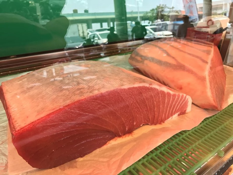 #吃魚營養好❓這種魚吃了可能反受其害
